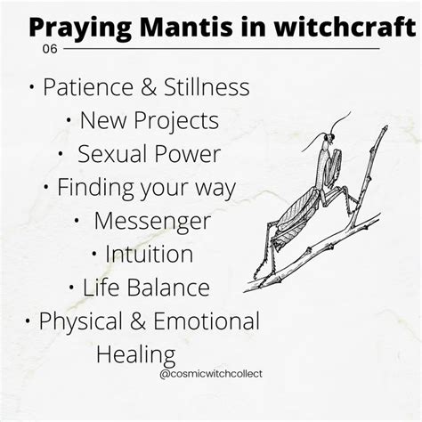Praying mantis witchcraft